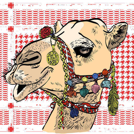 Camel