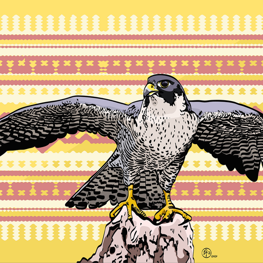 Falcon