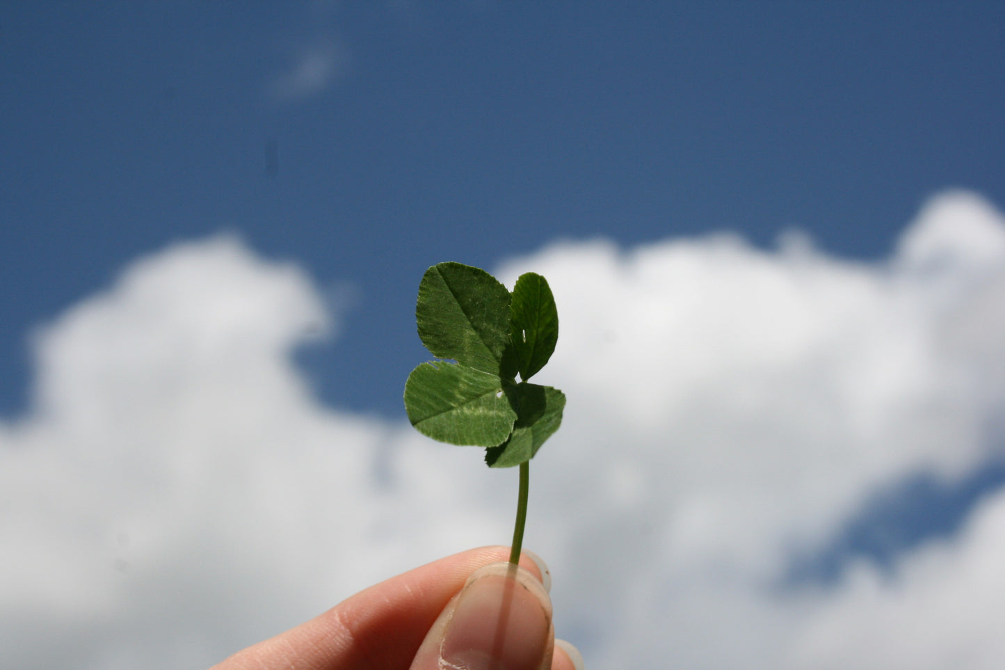 Test 1