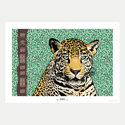 Jaguar