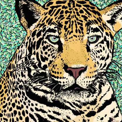 Jaguar